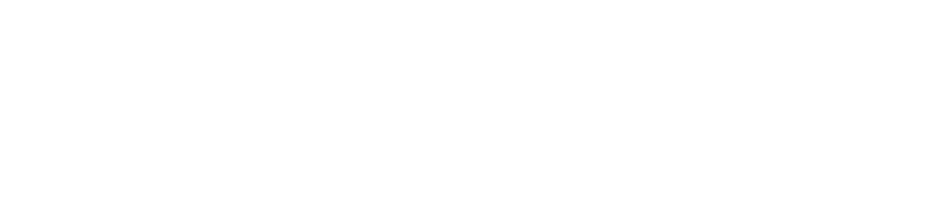 Mounttown Logo