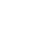 tick